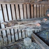 Fischerbrunnen Kochel