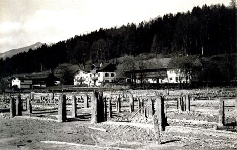 Zwergern