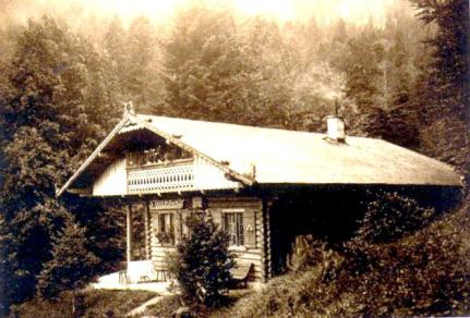 Waldwinkel