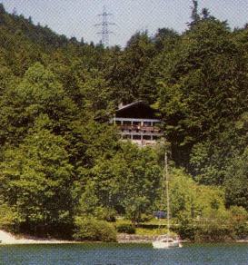 Waldwinkel2